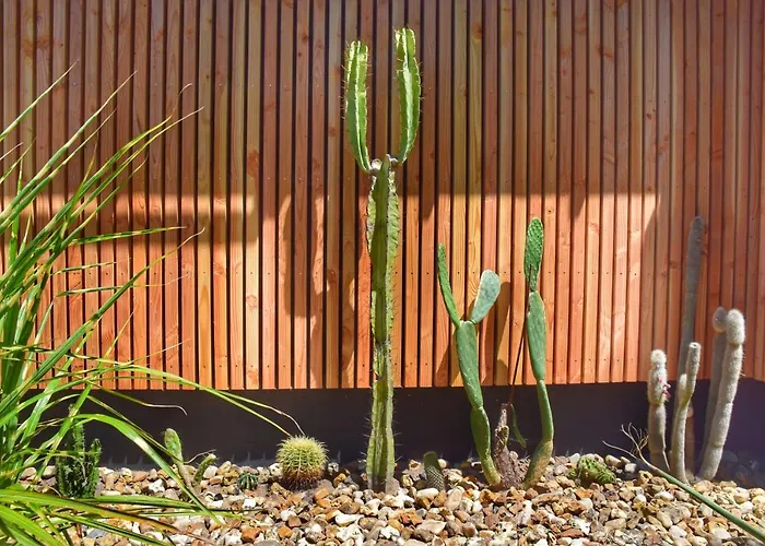 Διαμέρισμα Fare Bambou *