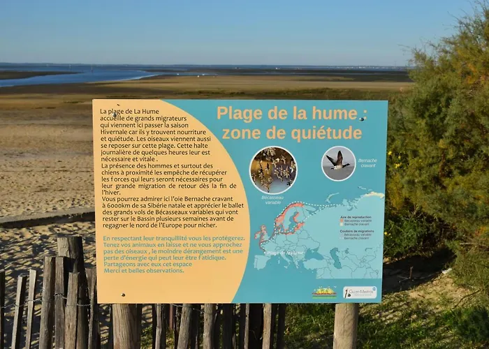 Fare Bambou * Gujan-Mestras