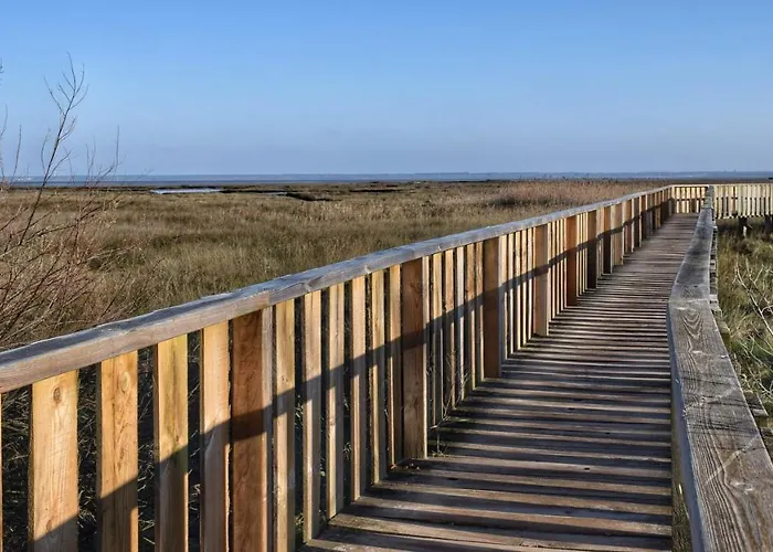 Fare Bambou * Gujan-Mestras