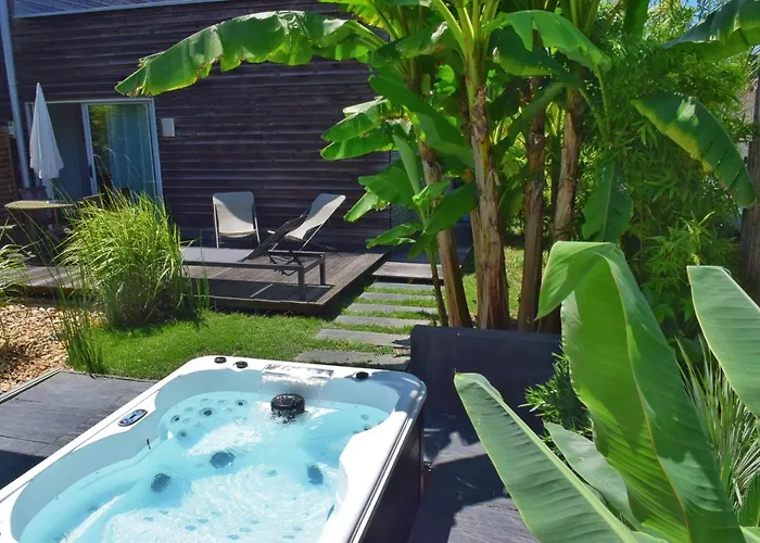 Fare Bambou Gujan-Mestras