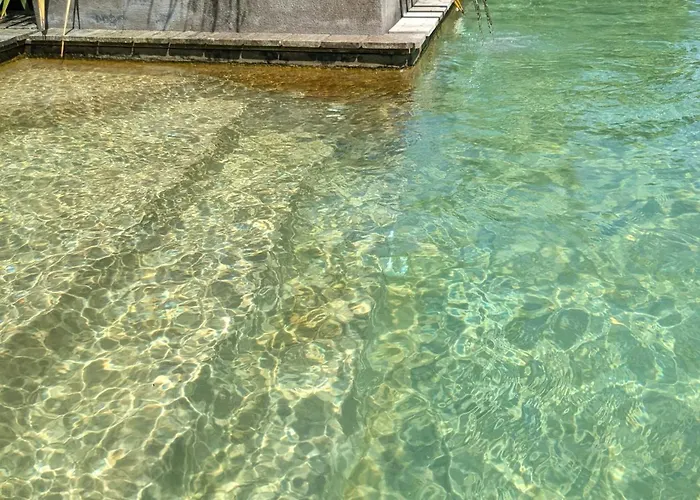 Fare Bambou * Gujan-Mestras