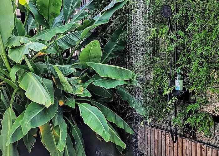 Fare Bambou Διαμέρισμα Gujan-Mestras