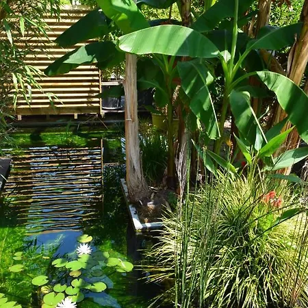 Fare Bambou דירה גוז'אן-מסטרה