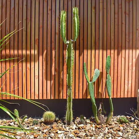 דירה Fare Bambou *