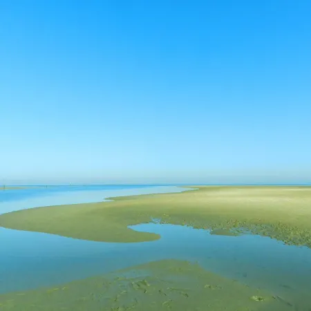 Fare Bambou דירה