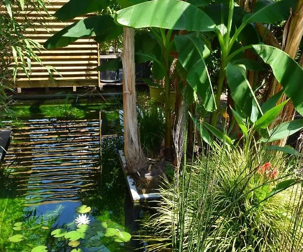 Fare Bambou Lägenhet Gujan-Mestras