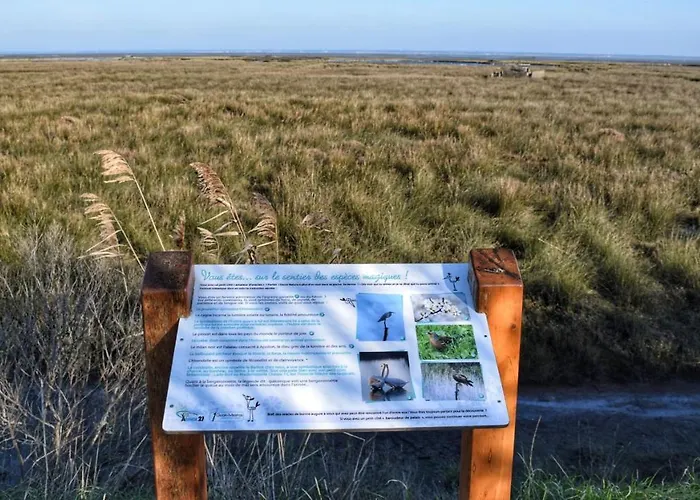 Fare Bambou Lägenhet *